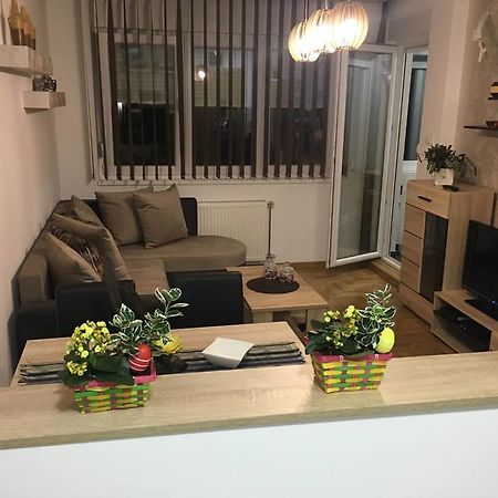 Apartment Sinisa With Garage Нови Сад Екстериор снимка