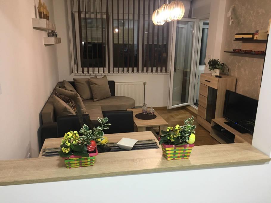 Apartment Sinisa With Garage Нови Сад Екстериор снимка